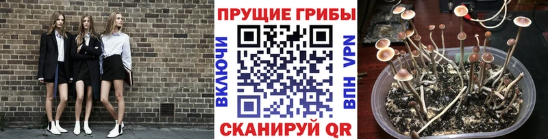 omg зеркало  Лихославль  Галлюциногенные грибы ЛСД  закладки 